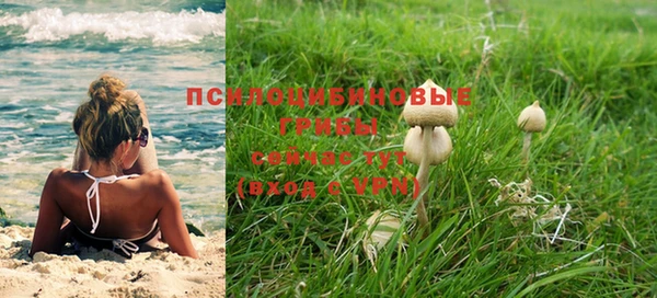 альфа пвп Надым