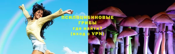 эйфоретик Белая Холуница