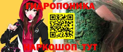 стаф Волжский