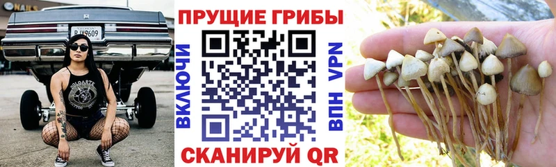 Галлюциногенные грибы ЛСД  дарк нет как зайти  Таганрог  хочу  