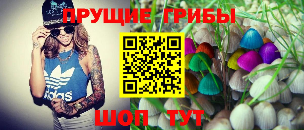 купить закладку  Галлюциногенные грибы Psilocybine cubensis  Таганрог  Вход с VPN  Псилоцибиновые грибы мицелий 